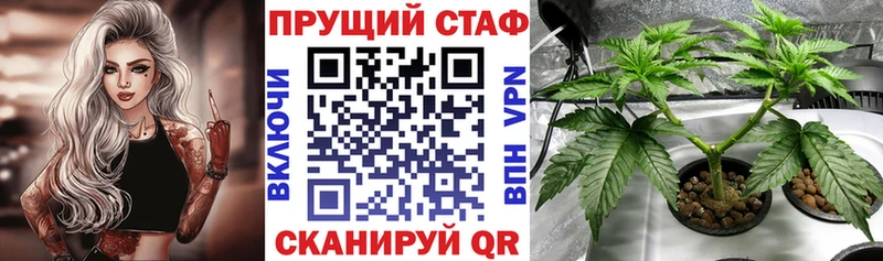 Купить наркотики Пионерский mega ТОР МЕФ АМФ Каннабис ГАШ COCAIN