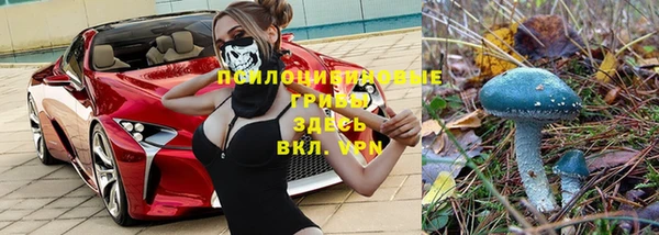 круглые Беломорск