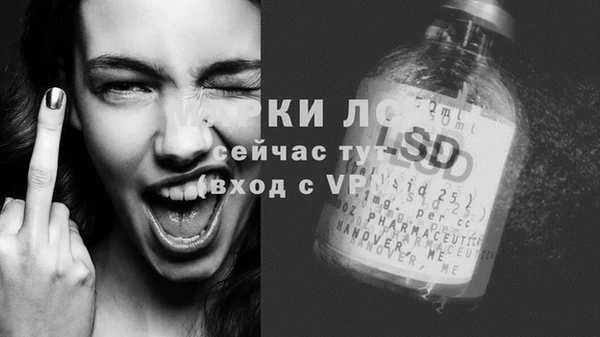 круглые Белокуриха