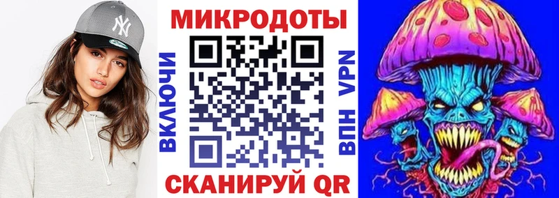 Псилоцибиновые грибы Psilocybine cubensis  Пионерский 